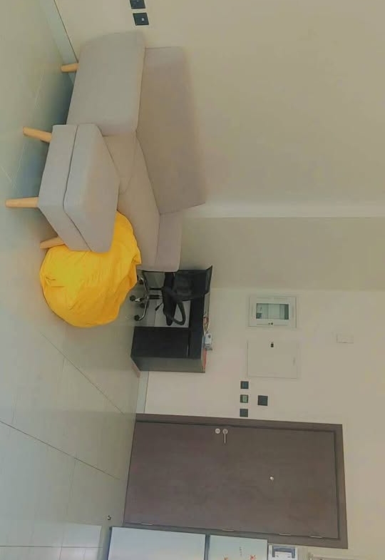 Top 7 Stunning Studio Apartments Available for Rent in Dubai