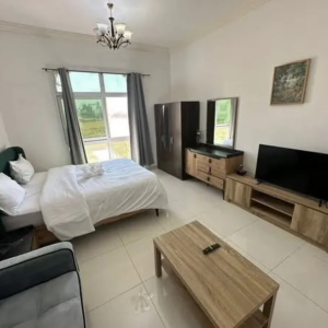 1 Bedroom Apartments for Rent in Antalya