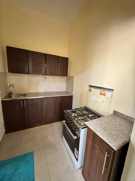 2 Bedroom Apartments for Rent in Khalifa City