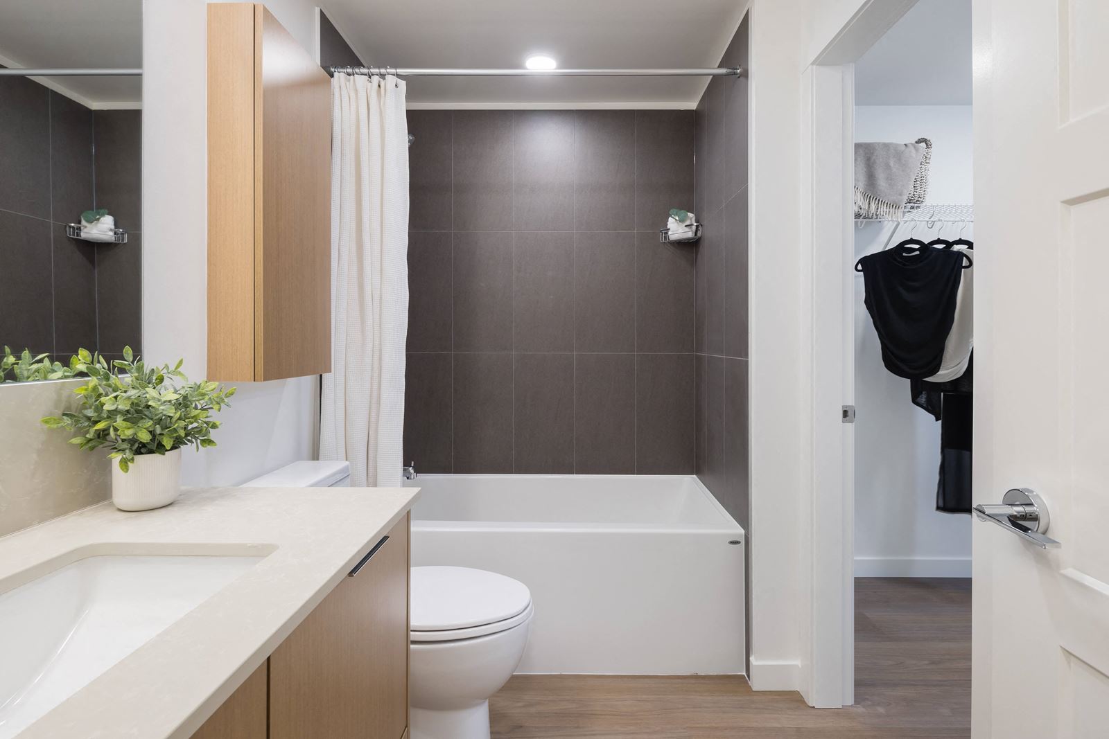 1 Bedroom Apartment for Rent in Toronto