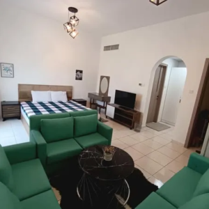 Apartment for Sale in Khalifa City