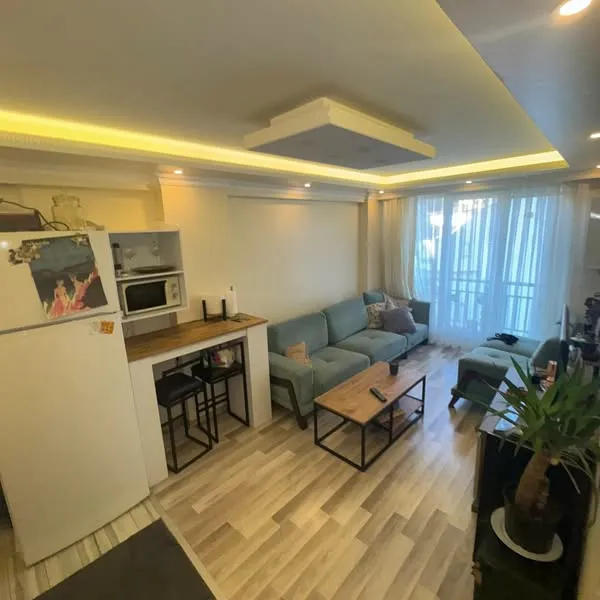 Apartments and Houses for Rent in Istanbul