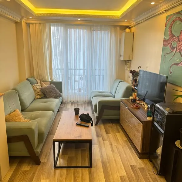 Apartments and Houses for Rent in Istanbul