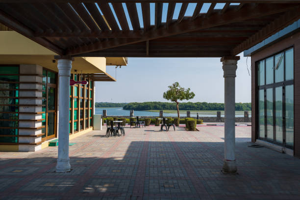 Homes with private pools for rent in Dubai