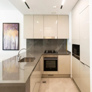 Apartments for rent in Business Bay