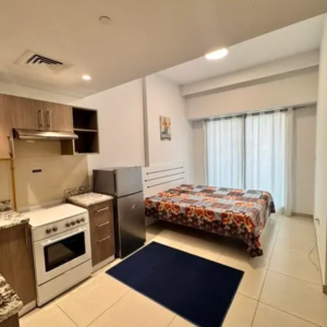 Cheap Apartments for Rent in Jebel Ali – Dubai