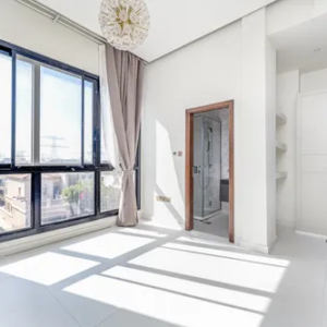 District 1A Villa for Rent in Jumeirah Village Triangle Dubai