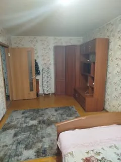 Living room in cozy 1-room Moscow flat