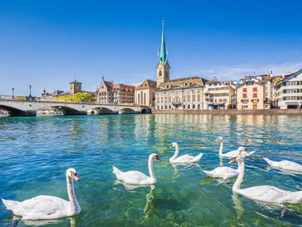 Luxury Apartments for Rent in Zurich, Switzerland