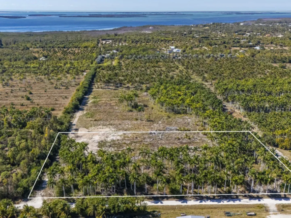 Farm Land for Sale in Florida