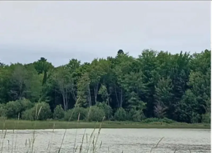 Land for Sale in Maine