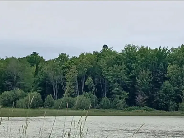 Land for Sale in Maine