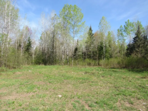 Land for Sale in Michigan
