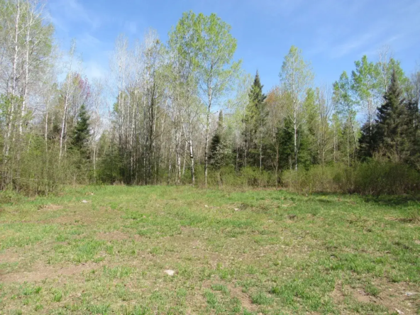 Land for Sale in Michigan